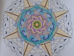 whatsapp bild 2025-07-01 um 11.48.08_ce22e163